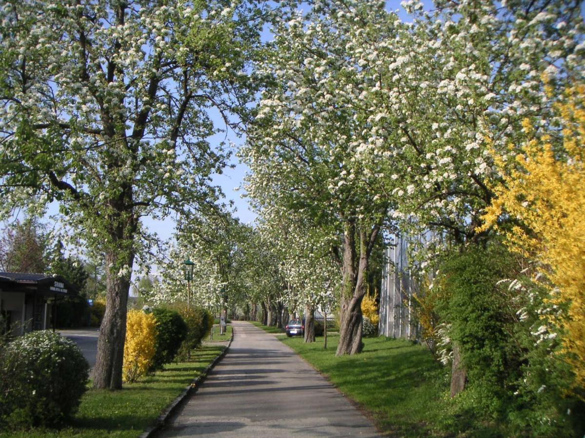 Ferien-Garconniere Hemetsberger Apartment ไวแร็กก์ ภายนอก รูปภาพ